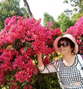 探索花朵与身体健康的深度关联 花的奥秘