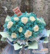 探索白色满天星的美丽花语 白色满天星的花语与寓意