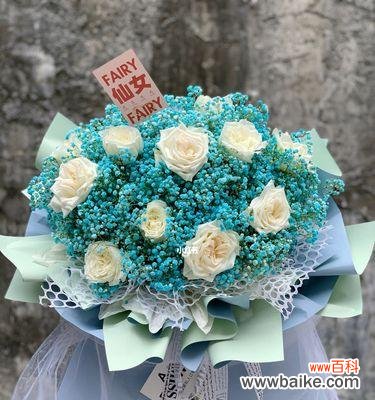 探索白色满天星的美丽花语 白色满天星的花语与寓意