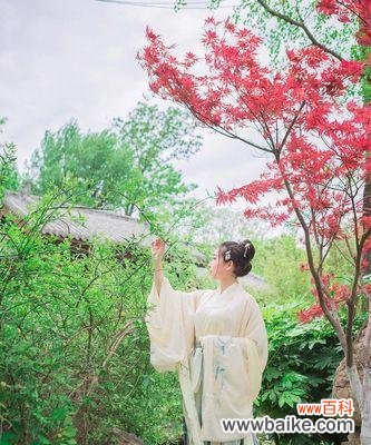 一朵杜若花 杜若花语与寓意