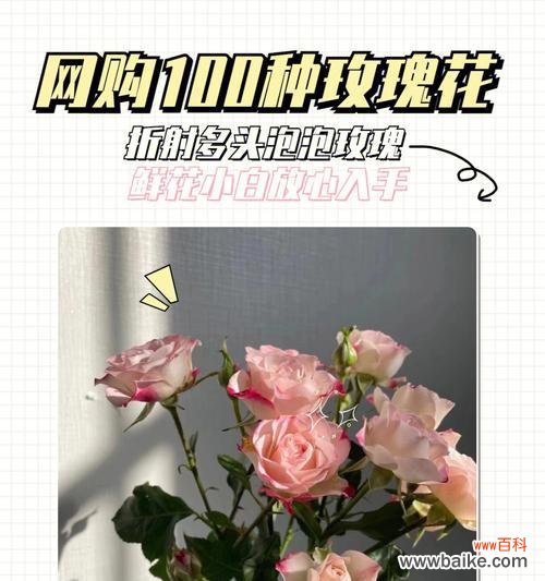 揭秘多头玫瑰的花语寓意 多头玫瑰的花语和寓意解读