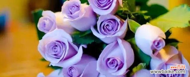 揭秘花语世界的浪漫之王 探寻世界上最浪漫的花语