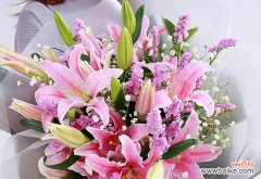 揭示粉色百合花的浪漫 粉色百合花的花语与寓意