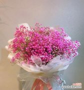 浪漫之花 浪漫粉色满天星，传达爱与美的花语