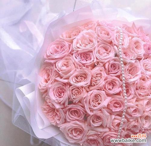 爱与温柔的象征 粉色玫瑰的花语及其象征意义