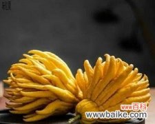 揭示佛手花的文化内涵与传统象征 佛手花的象征意义及其寓意