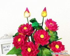 佛教中莲花的象征意义及其启示 佛莲花的象征意义