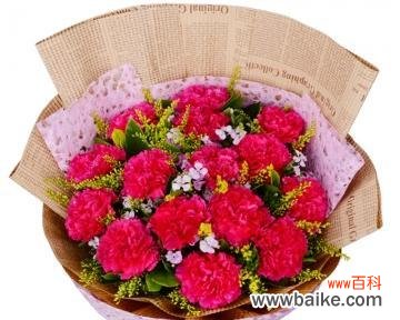 红色康乃馨传递的情感与祝福 红色康乃馨的花语与意义