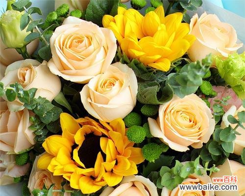 用一朵黄玫瑰传递温暖的心意 黄玫瑰的花语之美——明亮、友谊与温馨