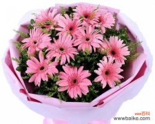 寓意深远的黄菊花 黄菊花的花语与象征意义