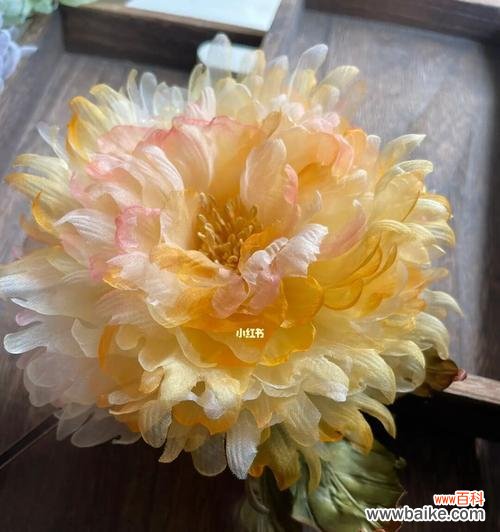 探索黄牡丹花在文化中的独特代表性 黄牡丹花的象征意义