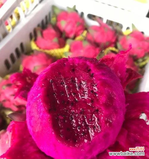 探寻火龙果背后的深意 火龙果的象征意义与祝福寓意