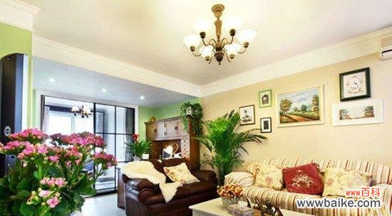 家居风水与洋桔梗的奇妙关联 洋桔梗风水寓意解读