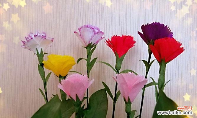 传递着美好情感的花朵 康乃馨