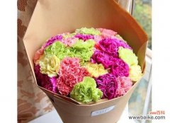 传递着美好情感的花朵 康乃馨