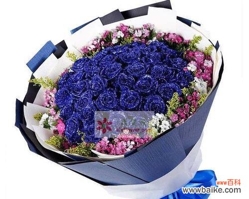 了解蓝玫瑰的特殊意义 以蓝玫瑰的花语及适合送给的人