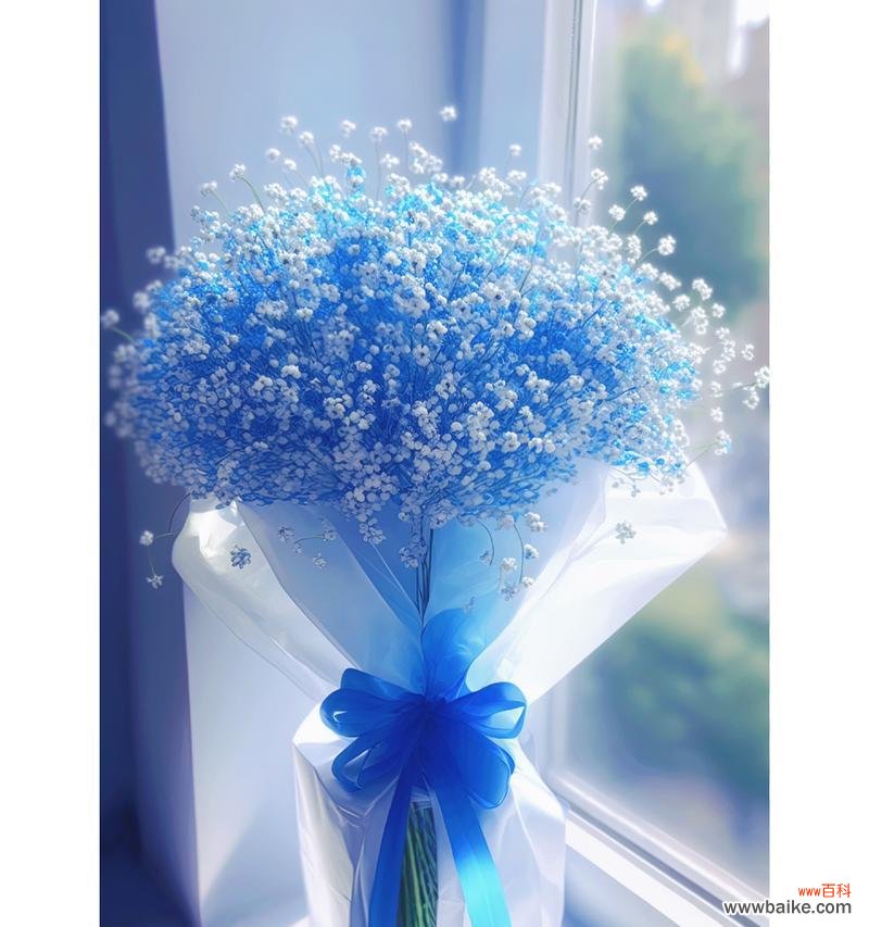揭示蓝色满天星所代表的美好寓意 蓝色满天星的花语和寓意