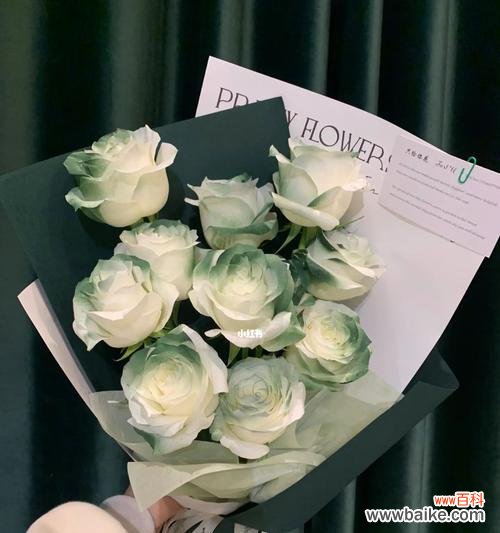 绿玫瑰的神秘寓意解析与传达方式 绿玫瑰的花语及代表意义