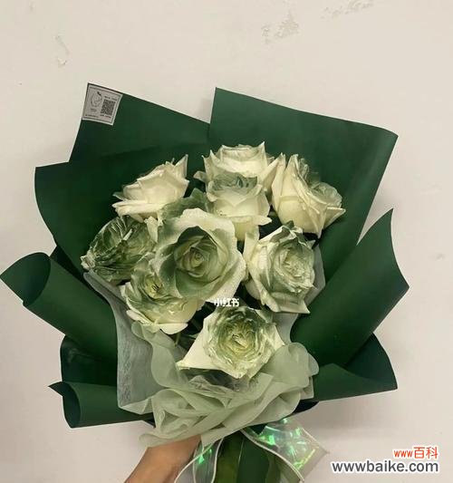 绿玫瑰的神秘寓意解析与传达方式 绿玫瑰的花语及代表意义