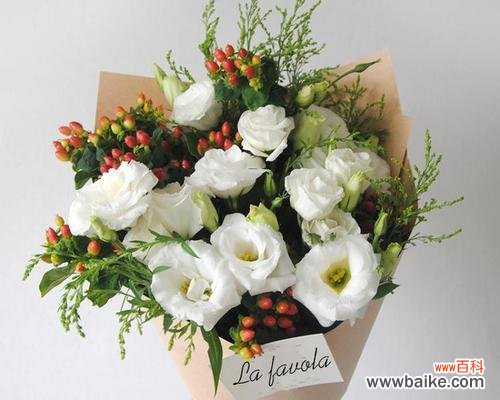 用香槟洋桔梗传递心意 香槟洋桔梗花语