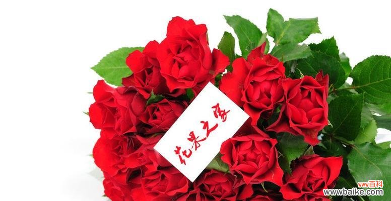 探索肯尼亚红玫瑰的花语魅力 肯尼亚红玫瑰花语