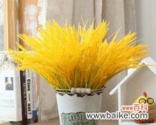 探寻麦穗背后的文化符号和情感寓意 麦穗的象征意义与代表意义