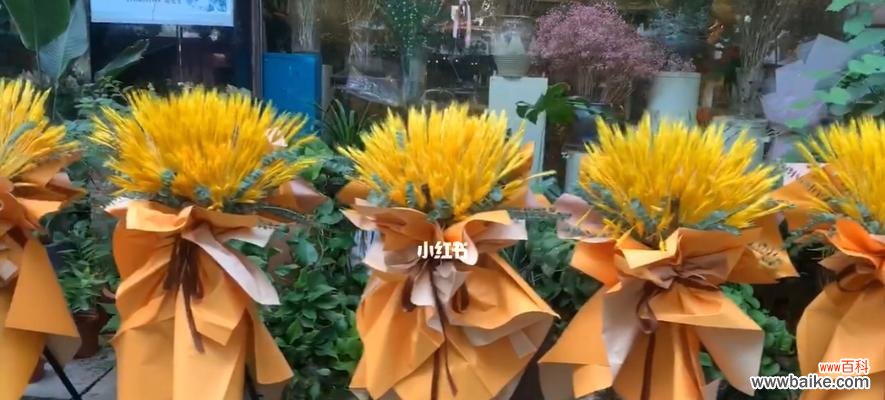 探寻麦穗背后的文化符号和情感寓意 麦穗的象征意义与代表意义