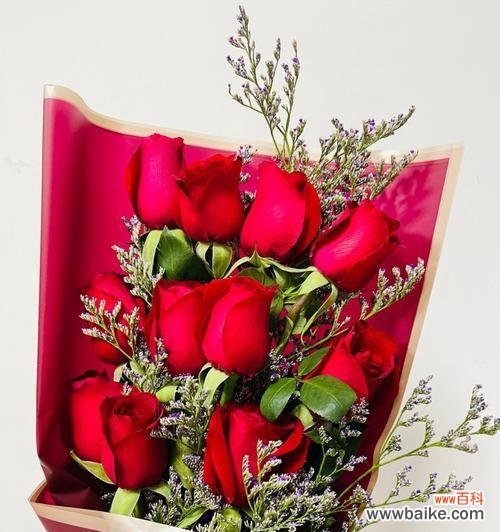 一支玫瑰花的多重寓意与情感表达 玫瑰花的象征意义及文化传承