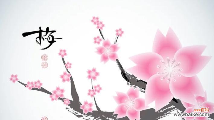 传达淡泊名利 梅花的花语及象征寓意