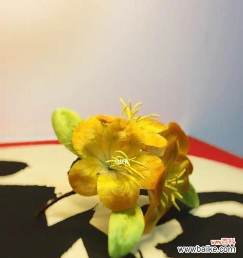 一朵花中蕴含的情感与祝福 绒花的花语和寓意