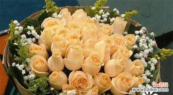 传递爱情和祝福的十九朵玫瑰花 十九朵玫瑰花的花语