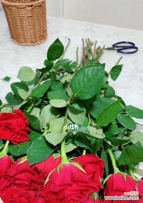 花语传递心意 以花代表道歉