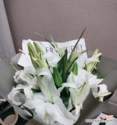 揭秘花朵的情感象征 花语解读