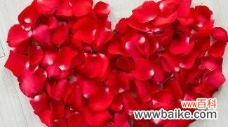 揭秘花朵的情感象征 花语解读