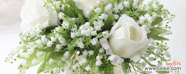 探寻钤兰花的深层含义与传承花语之美 钤兰花