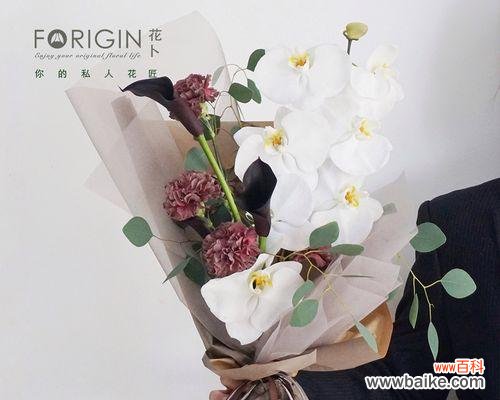 百合 以百合花代表高雅的艺术之美