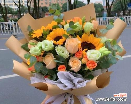 感恩的美丽鸢尾花 感恩之花——以鸢尾花为象征