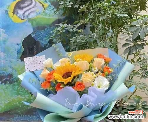 教师如同菊花般 以菊花代表老师的含义