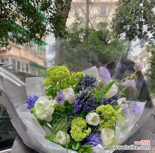 男人之花 男人之花——揭秘不为人知的代表男人的花朵