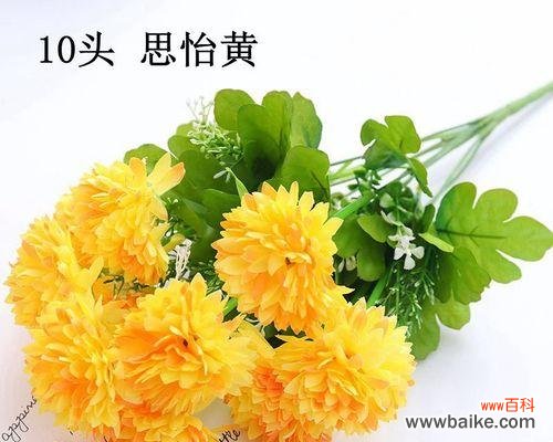 以花为语 花开思念，情深永存