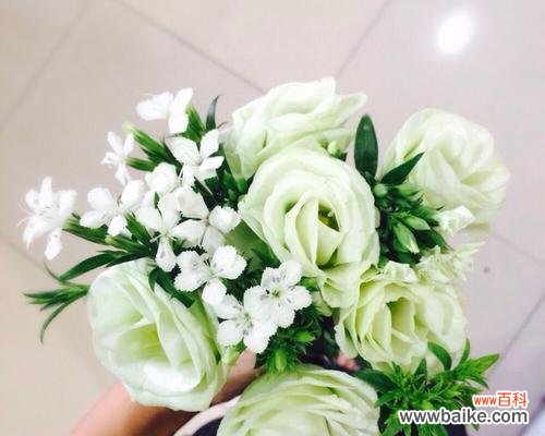 探寻百合花在爱情中的象征意义 以百合花代表永恒的爱