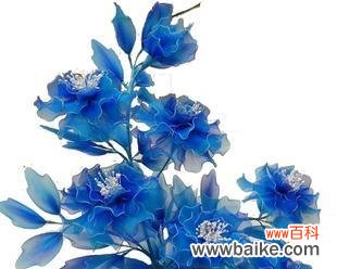 解读蓝色牡丹花的五彩斑斓与难得一见 蓝色牡丹花的象征意义与美丽之谜