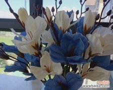 娇艳花朵中的高雅气息 以蔷薇花代表优雅气质