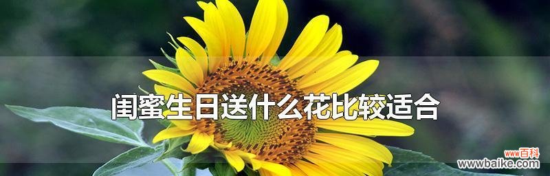 探索郁金香花语与友情的深度关联 友情之花——以郁金香为代表的花语