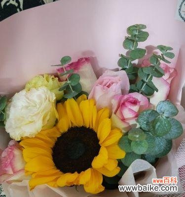 表达感激之情 感谢之花-康乃馨的花语