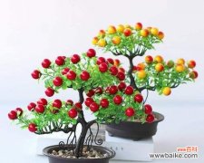 寒梅花语之富贵发财 富贵发财的花语——寒梅