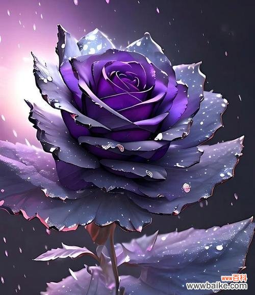 用百合花传达爱意的浪漫告白方式 以百合花的花语为主题的告白文章