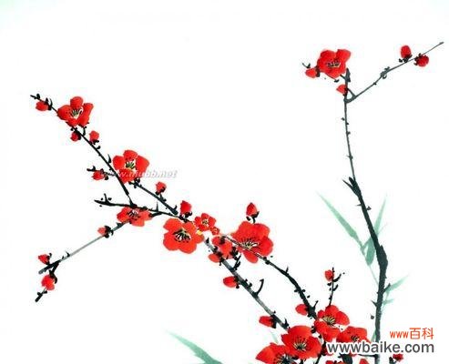 康乃馨花语诠释家人之间的深情厚意 以康乃馨花语为主题的家人之爱