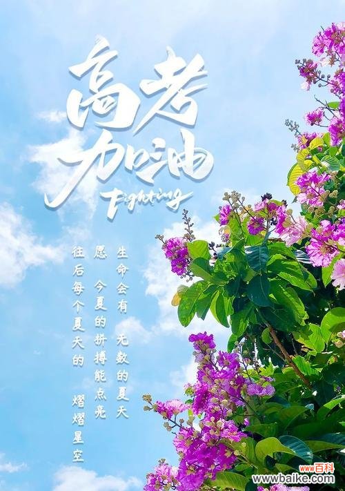 康乃馨花语的积极向上和奋发向前 以康乃馨的花语励志加油,坚持不懈