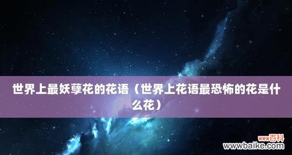 探索康乃馨花语中的绝望情绪 绝望之花